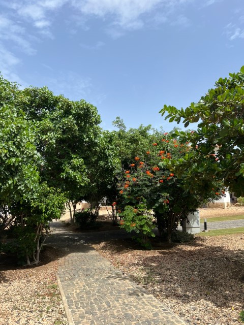 house hunters cape verde alex pina apartment for sale (19)